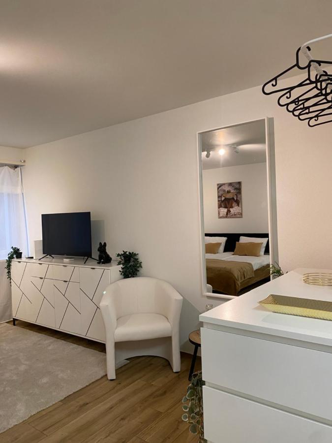 Eine Schoene Wohnung Am Messeplatz Basel Luaran gambar