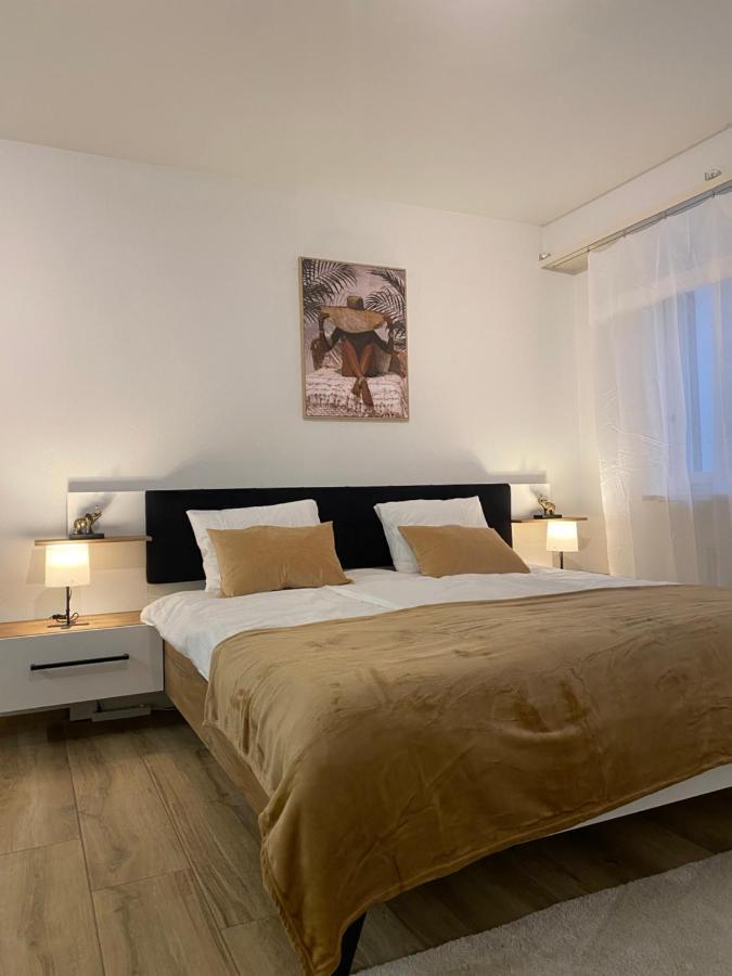 Eine Schoene Wohnung Am Messeplatz Basel Luaran gambar